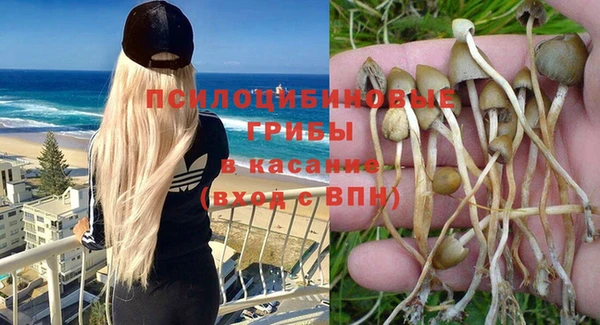 прущие грибы Армянск