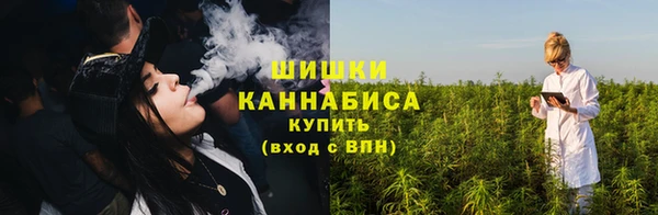 прущие грибы Армянск