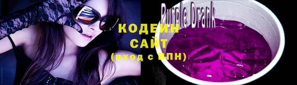 ПСИЛОЦИБИНОВЫЕ ГРИБЫ Арсеньев