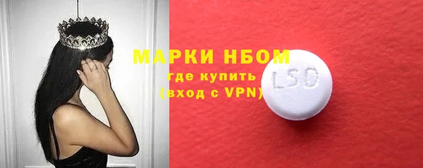 ПСИЛОЦИБИНОВЫЕ ГРИБЫ Арсеньев