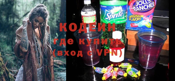 ПСИЛОЦИБИНОВЫЕ ГРИБЫ Арсеньев