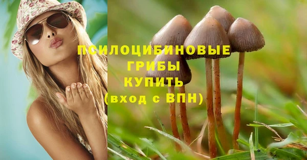 ПСИЛОЦИБИНОВЫЕ ГРИБЫ Арсеньев