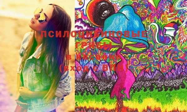 прущие грибы Армянск