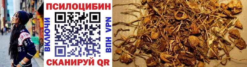 Галлюциногенные грибы Psilocybe Тара